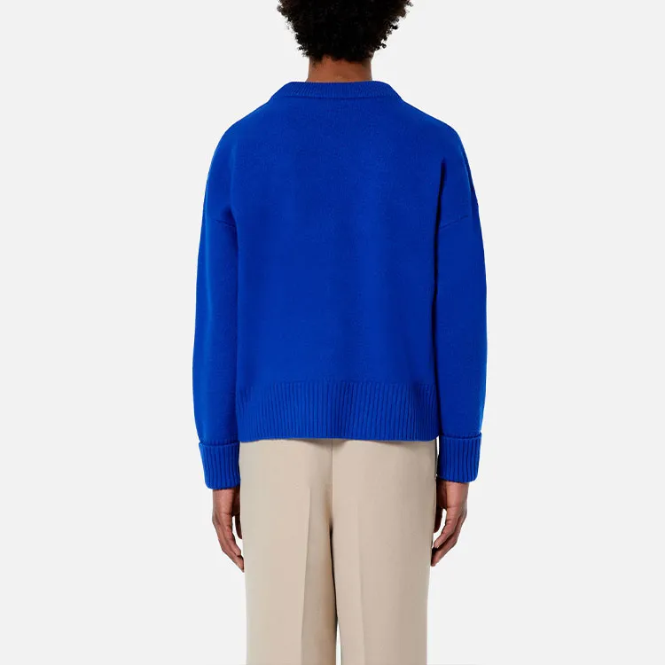 AMIPARIS Sweaters Men Blue-1