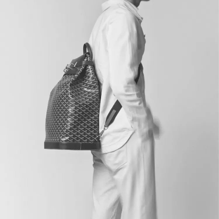 GOYARD Steamer Canvas With Leather Backpack Small Size Unisex Gray-3