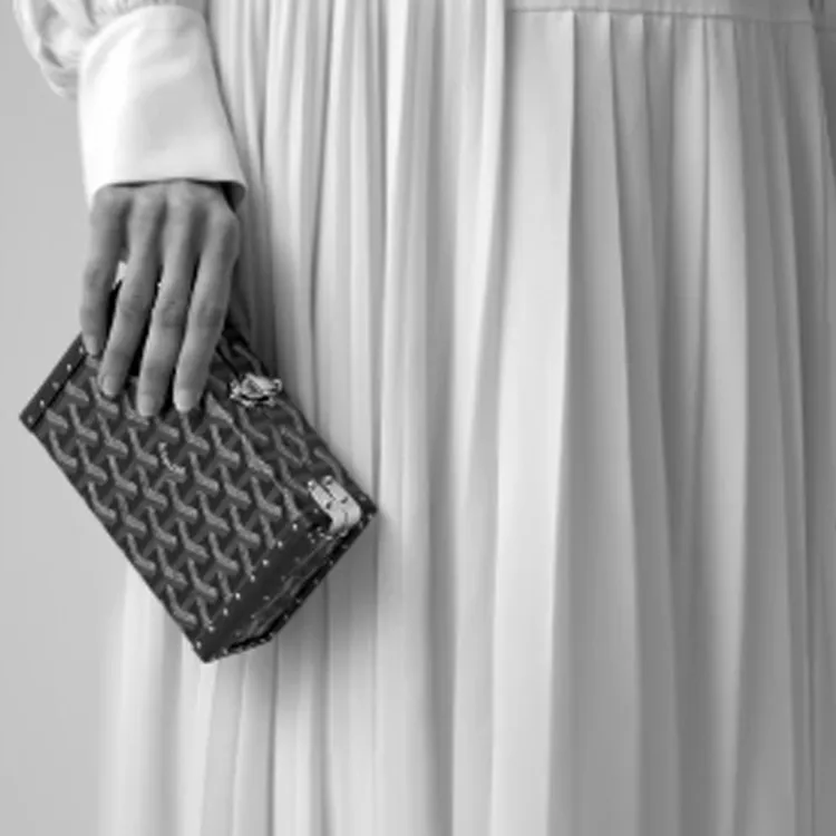 GOYARD Minaudière Trunk Canvas With Leather Clutch Unisex Silver-6