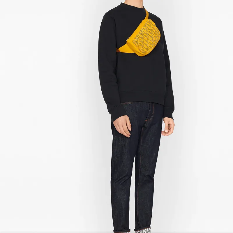 DIOR Saddle Fanny Packs-4