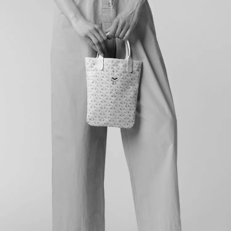 GOYARD Claire Voie Poitier Mini Vertical Bag White/Blue-5