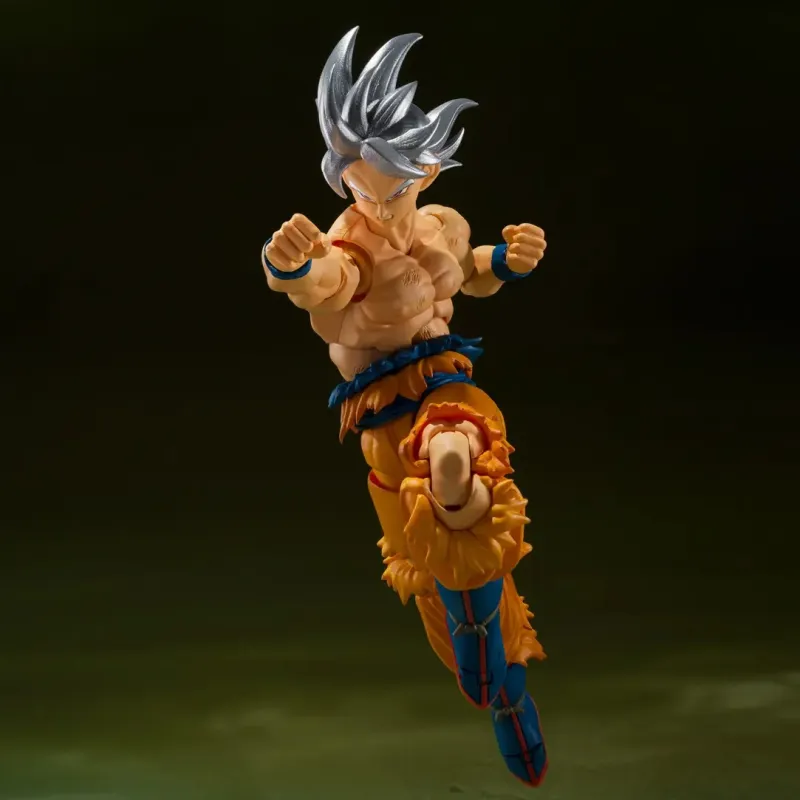 BANDAI S.H.Figuarts Assembled Models-1