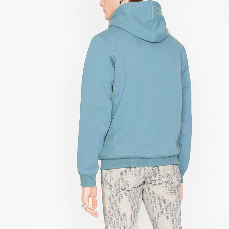 DIOR X Peter Doig Logo Hoodie - POIZON