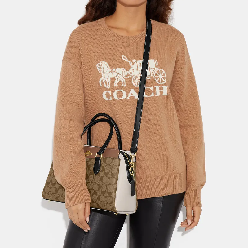 COACH Darcie 32 Carryall-4