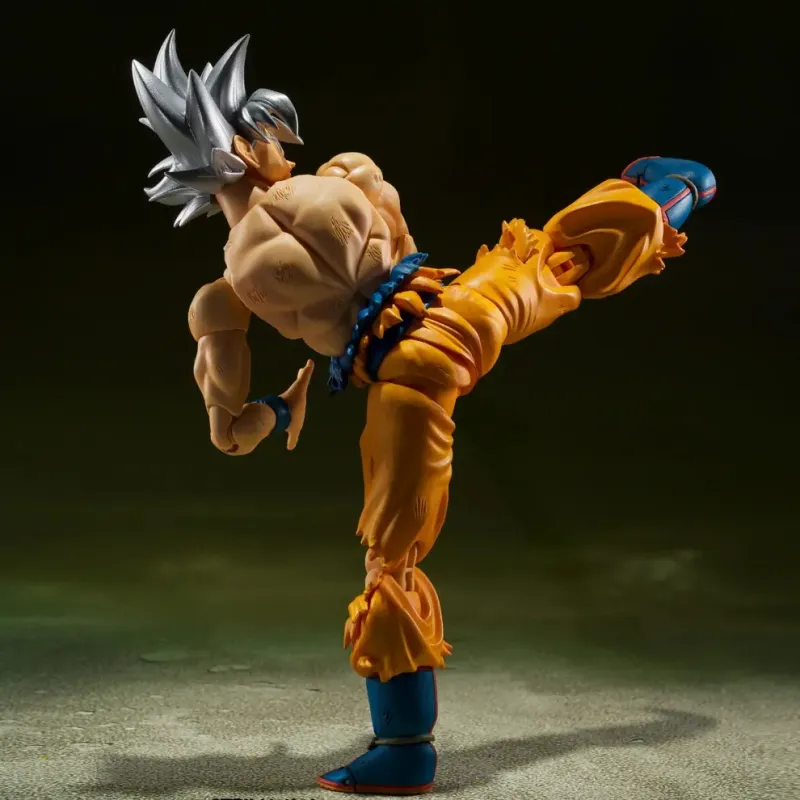 BANDAI S.H.Figuarts Assembled Models-4