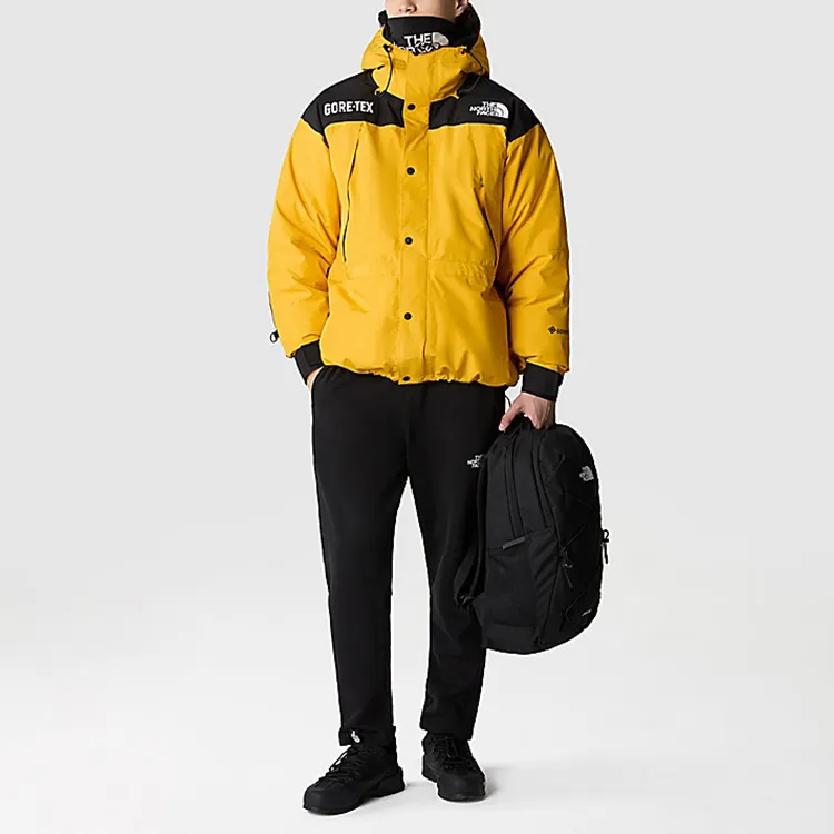 THE NORTH FACE Gore-Tex Mountain Guide Jacket-2