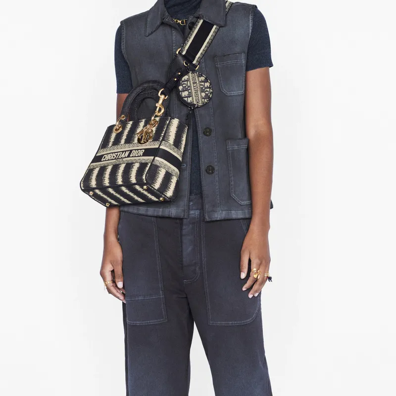 DIOR Lady D Lite Handbags-8