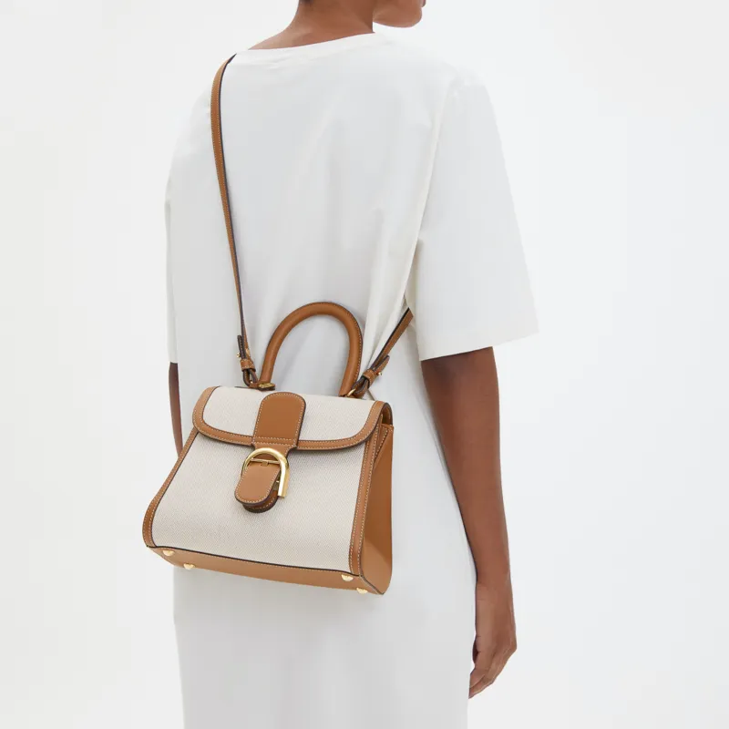 Delvaux Brillant Handbags-4
