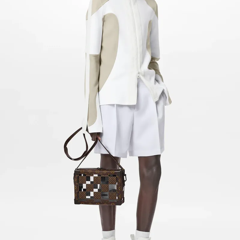 LOUIS VUITTON Soft Trunk Brown/Clear-6