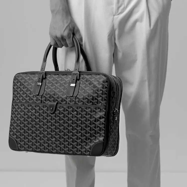 GOYARD Ambassade Canvas With Leather Handbags Briefcases Medium Size Men's Gray-6