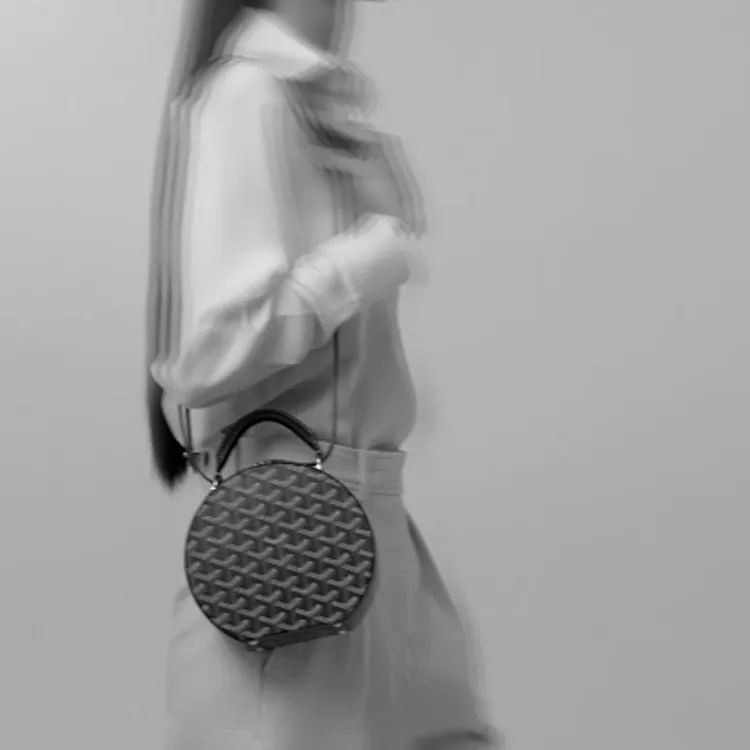GOYARD ALTO Canvas With Leather Crossbody One Shoulder Handbags Mini Women's Silver-4