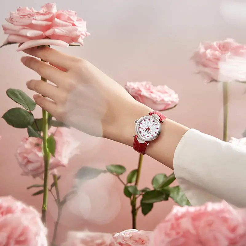 EMILE CHOURIET Automatic Mechanical Movement Women's Watch Watch 29.2mm Silver Dial Stainless Steel Case Leather Strap-4