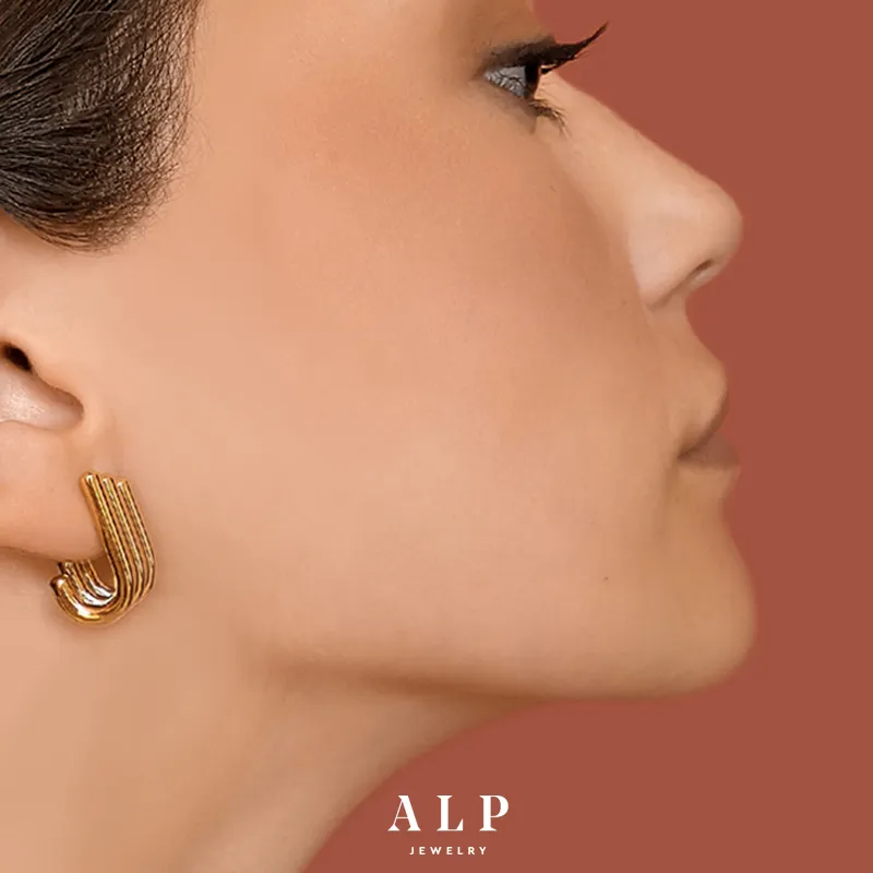 ALP JEWELRY Stainless Steel Earrings Unisex Gold-3