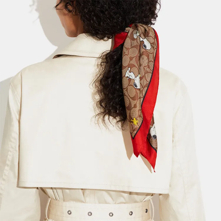 COACH Silk Scarves Women's Khaki/Red-1