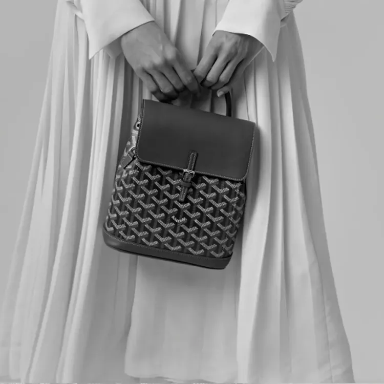 GOYARD Alpin Canvas With Leather Backpack Mini Unisex White-7