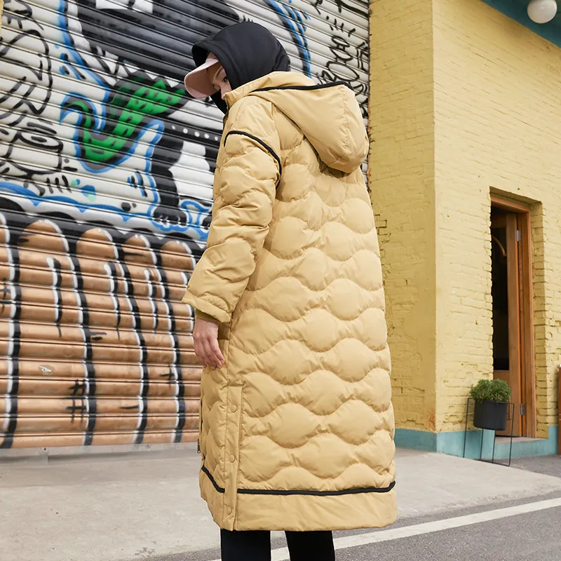 Dickies Jackets Women's Wheat-1