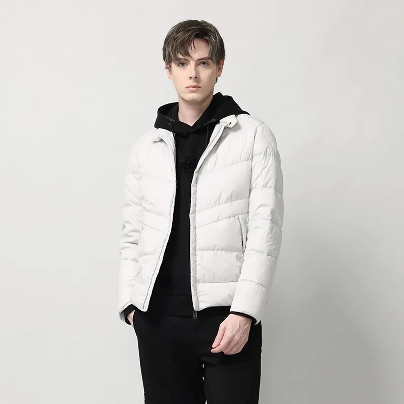 RARE FW22 Solid Color Stand Collar Down Jacket Men's Silver-4