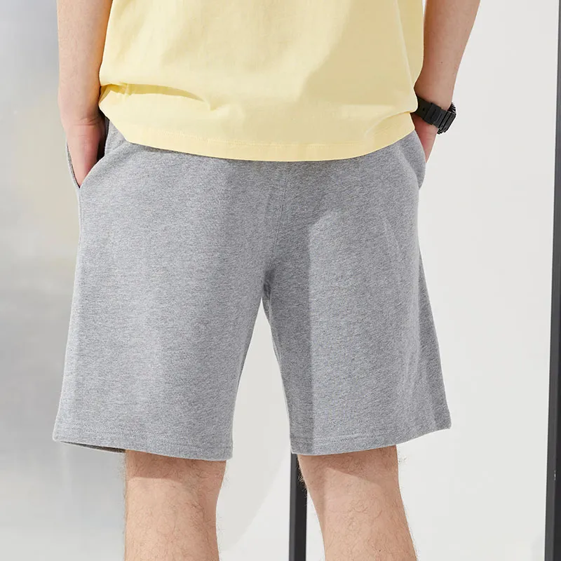 Dickies Shorts Unisex Medium Feather Gray-3