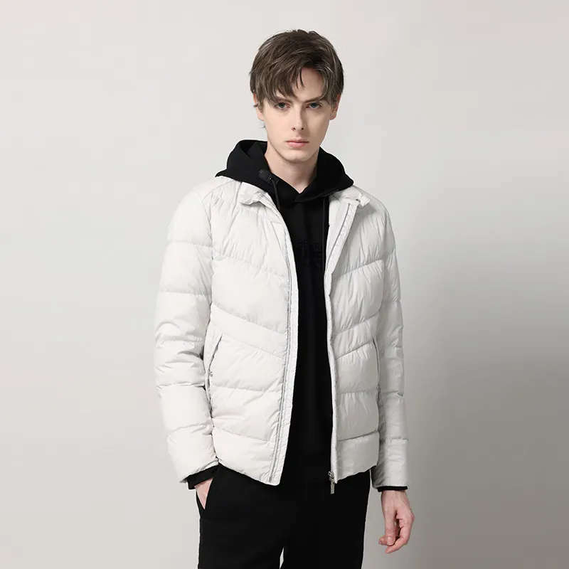 RARE FW22 Solid Color Stand Collar Down Jacket Men's Silver-2