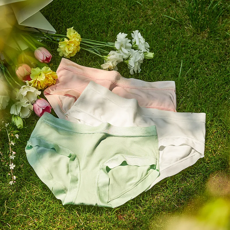 SHIWAJI Women's Underpants-7