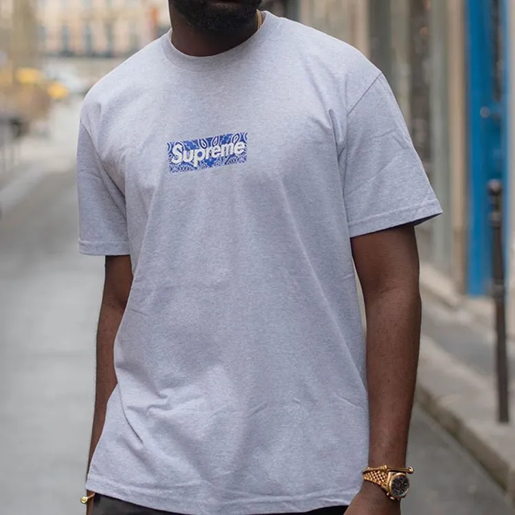 Supreme Bandana Box Logo Tee-1