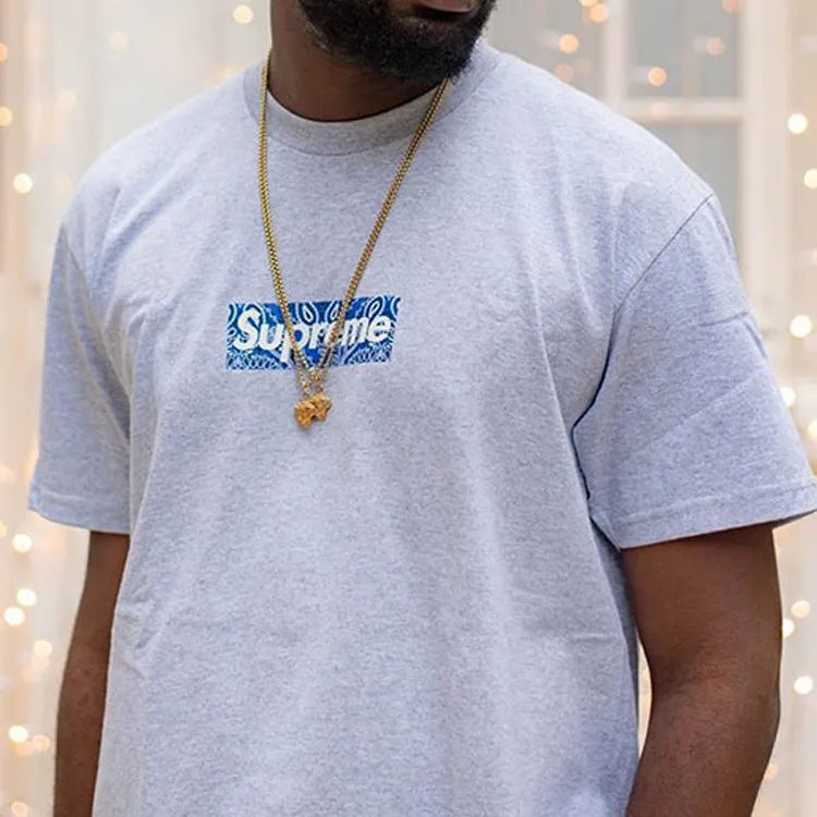 Supreme Bandana Box Logo Tee-2
