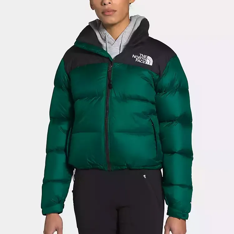 THE NORTH FACE 1996 Retro Nuptse Down Jacket-2