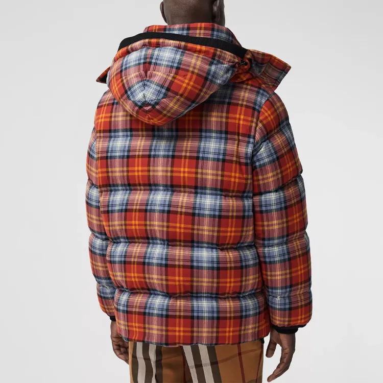 Burberry Down Jackets Men Multicolor-2