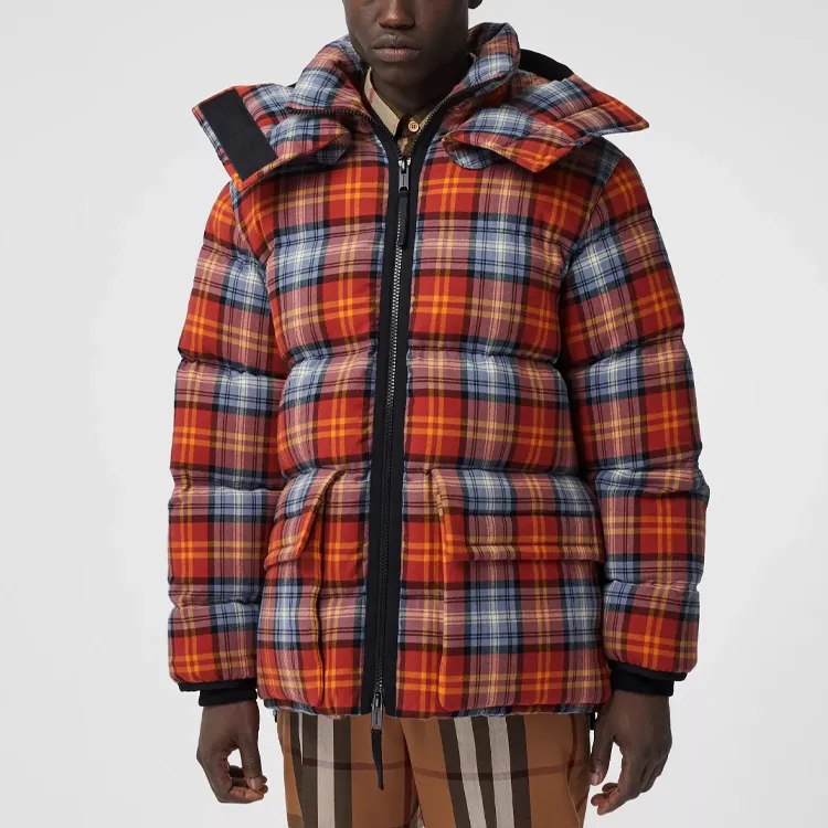 Burberry Down Jackets Men Multicolor-1