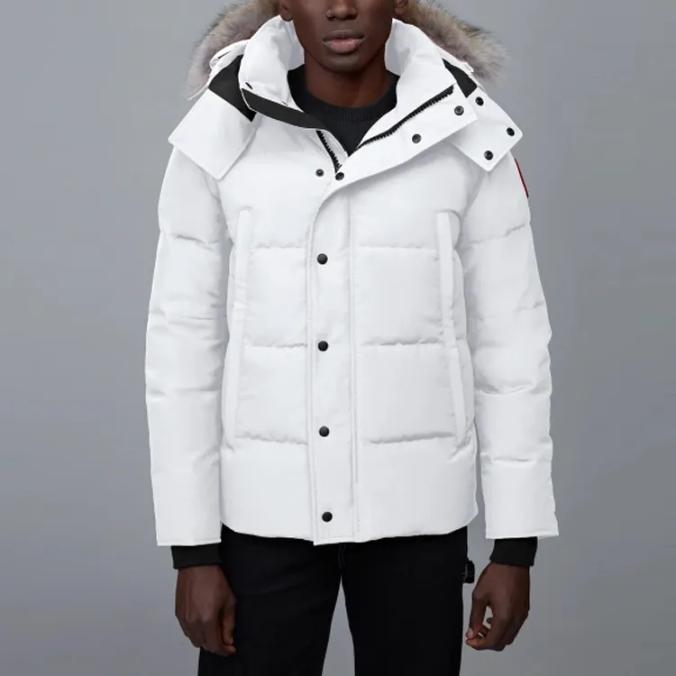 Canada Goose Wyndham Series Down Jacket Winter Men's Polaris White-1