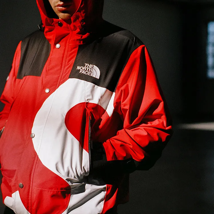 Supreme The North Face S Logo Mountain Jacket-8