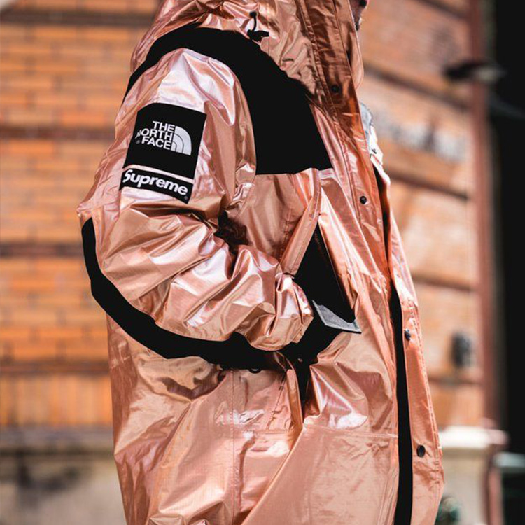 Supreme The North Face Metallic Mountain Parka M - POIZON Supreme The North Face Metallic Mountain Parka M - POIZON