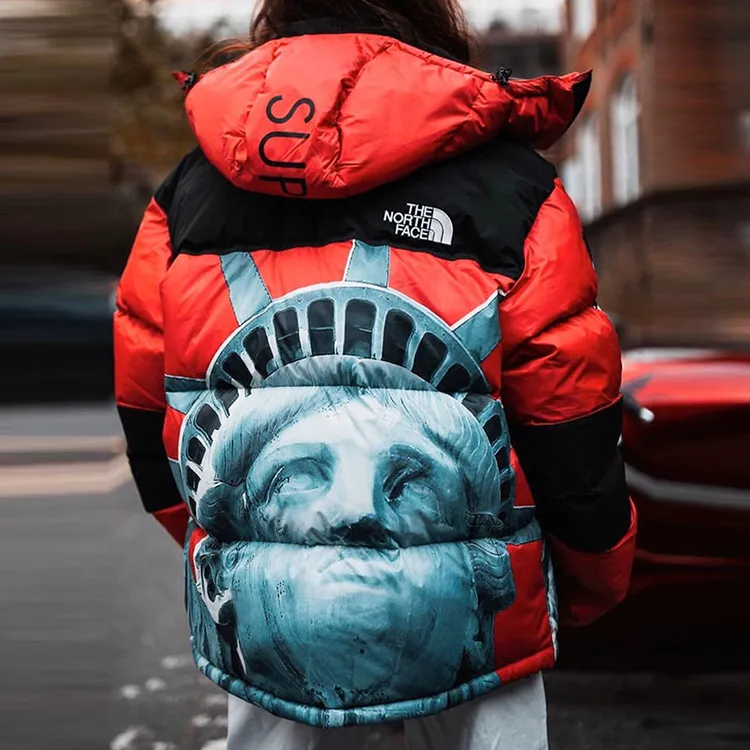 Supreme The North Face Statue Of Liberty Baltoro Jacket-4
