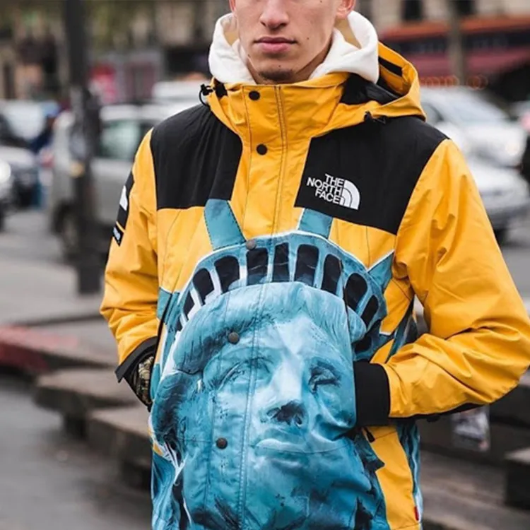 Supreme The North Face Statue Of Liberty Mountain Jacket-3
