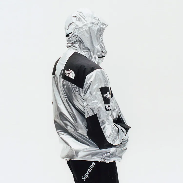 Supreme X The North Face Metallic Mountain Parka-3