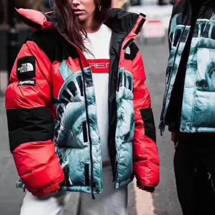 Supreme The North Face Statue Of Liberty Baltoro Jacket-3