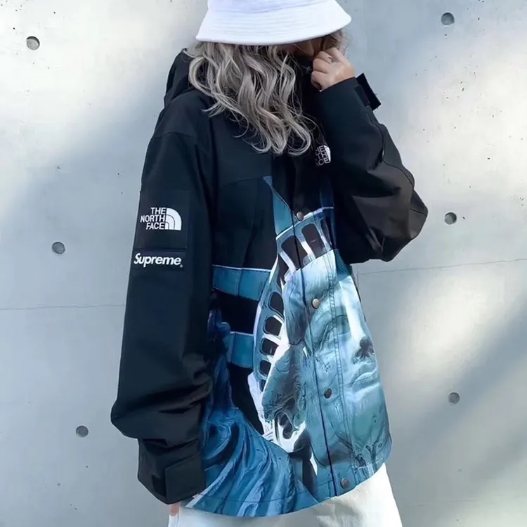 Supreme The North Face Statue Of Liberty Mountain Jacket-7