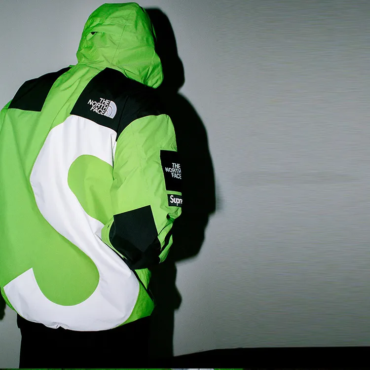 Supreme The North Face S Logo Summit Series Himalayan Parka-4