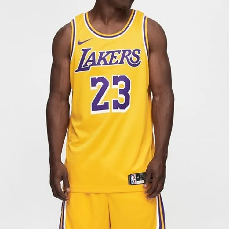 Nike LeBron James Icon Swingman Jersey-3