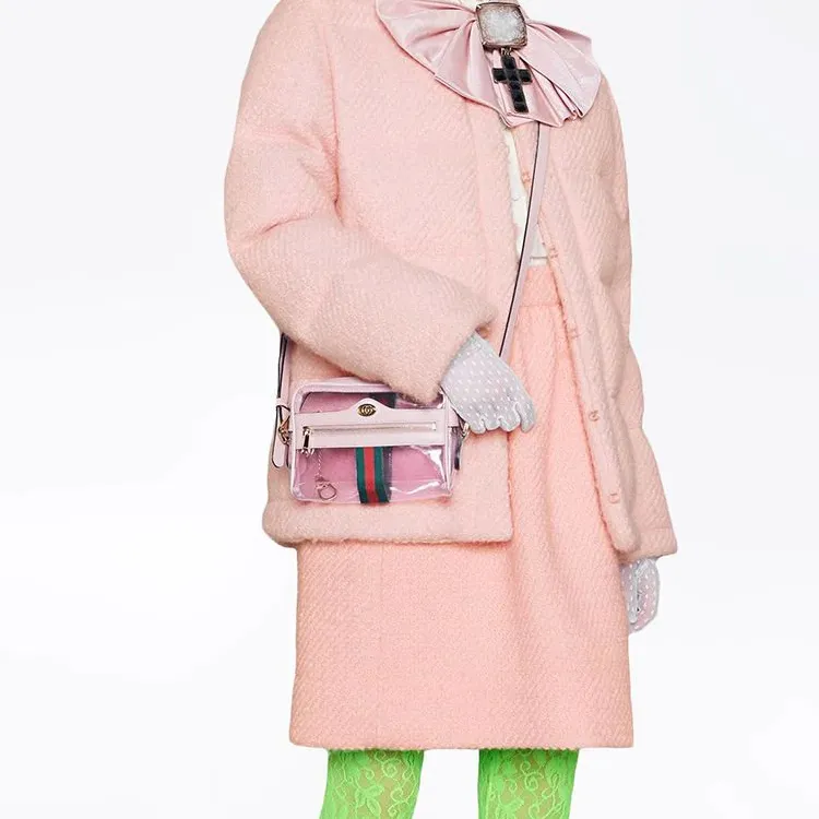 GUCCI Ophidia Mini Transparent Bag-5
