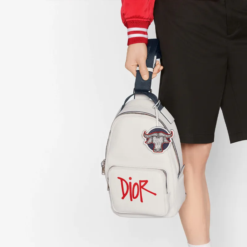 DIOR × SHAWN Collaboration Grained Calfskin Sling Bag Shoulder Bag Crossbody Bag Men's White-5