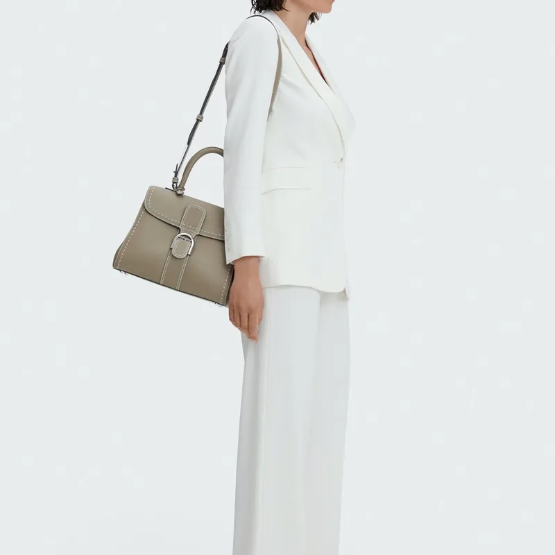Delvaux Brillant Handbags-5