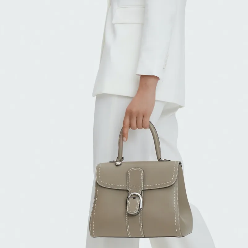 Delvaux Brillant Handbags-4