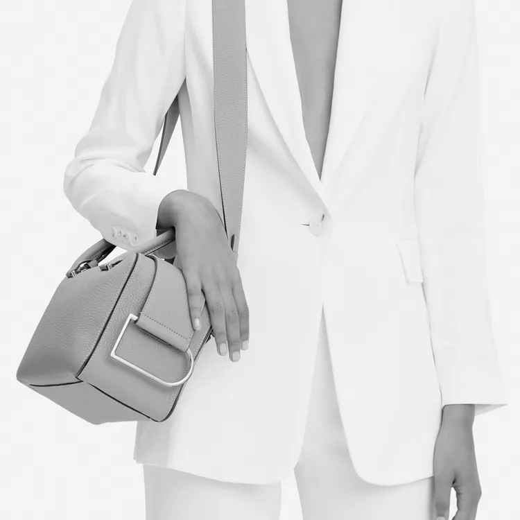 Delvaux Cool Box Handbags-5