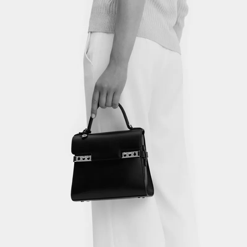 Delvau Tempête Soft Calfskin Handbag Small Size Women's Black-6