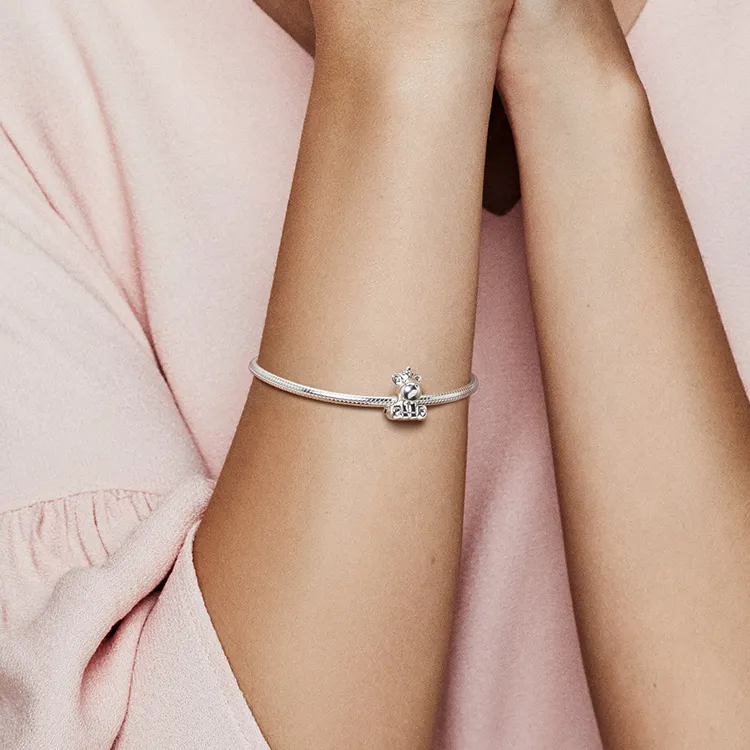 Pandora Charms / Pendants Women's-1