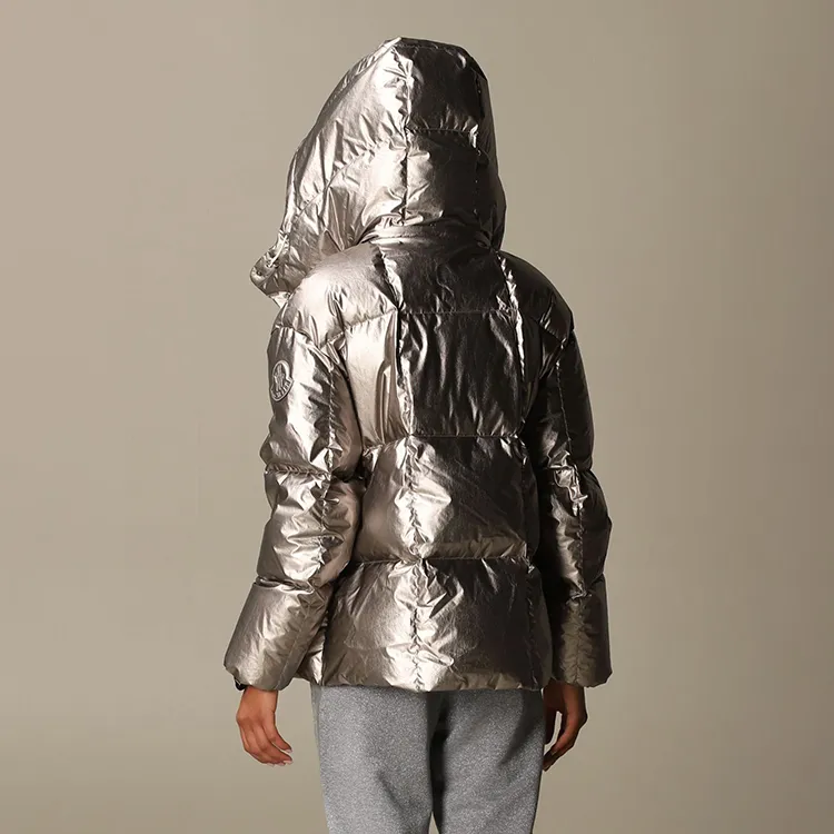 Moncler Parana Series Down Jacket Women's Silver-2