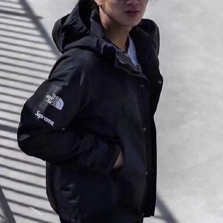 Supreme X The North Face Arc Logo Mountain Parka-4