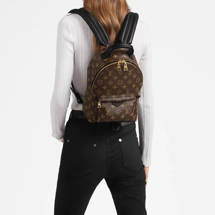LOUIS VUITTON Palm Springs Monogram Updated Zipper Pm-9
