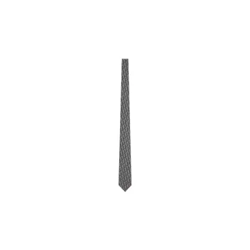 DIOR Ties Men Gray